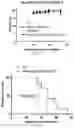 Fig. 08 - Method and composition for treating tumors