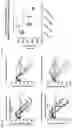 Fig. 10 - GENE-REGULATING COMPOSITIONS AND METHODS FOR IMPROVED IMMUNOTHERAPY