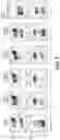 Fig. 11 - METHOD FOR TREATING DISEASE USING FOXP3+CD4+ T CELLS