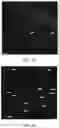 Fig. 10 - PRIMED MUSCLE PROGENITOR CELLS AND USES THEREOF