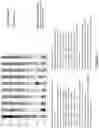 Fig. 03 - Compositions and methods for transplantation of colon microbiota