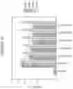 Fig. 11 - MAPC TREATMENT OF BRAIN INJURIES AND DISEASES