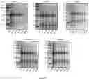 Fig. 18 - METHODS OF PURIFYING AN ALLERGEN EXTRACT