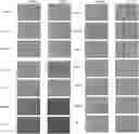 Fig. 01 - PSEUDORABIES VIRUS FOR TREATING TUMORS