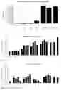Fig. 05 - Neuroprotective peptides