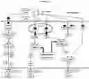 Fig. 02 - Combinatorial Apparatus for Disease Management