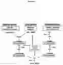 Fig. 03 - Combinatorial Apparatus for Disease Management