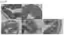 Fig. 06 - EXOGENOUS PROTEIN-EXPRESSING MICROORGANISM AND USE THEREOF