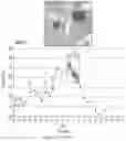 Fig. 27 - Method and compounds for treating diabetes and associated metabolic diseases