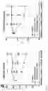 Fig. 03 - COMPOUND DECREASING THE CONCENTRATION OF 2-HYDROXY-GLUTARATE