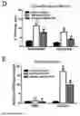 Fig. 06 - COMPOUND DECREASING THE CONCENTRATION OF 2-HYDROXY-GLUTARATE