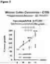 Fig. 04 - PEPTIDES WITH ANTI-TUMOR ACTIVITY