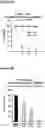 Fig. 07 - PEPTIDES WITH ANTI-TUMOR ACTIVITY