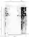 Fig. 07 - COMPOSITIONS AND METHODS FOR INHIBITING YEAST INFECTIONS