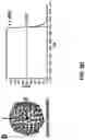Fig. 14 - BRCA1 MODULATING COMPOUNDS, FORMULATIONS THEREOF, AND USES THEREOF