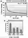 Fig. 32 - BRCA1 MODULATING COMPOUNDS, FORMULATIONS THEREOF, AND USES THEREOF