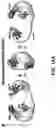 Fig. 35 - BRCA1 MODULATING COMPOUNDS, FORMULATIONS THEREOF, AND USES THEREOF