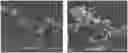 Fig. 01 - HEMOSTATIC COMPOSITIONS AND METHODS OF MAKING THEREOF
