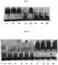 Fig. 04 - HEMOSTATIC COMPOSITIONS AND METHODS OF MAKING THEREOF