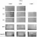 Fig. 06 - HEMOSTATIC COMPOSITIONS AND METHODS OF MAKING THEREOF