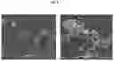 Fig. 09 - HEMOSTATIC COMPOSITIONS AND METHODS OF MAKING THEREOF