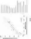 Fig. 13 - Vaccine