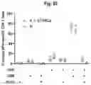 Fig. 13 - Combination Of A STING Agonist And A Complex Comprising A Cell Penetrating Peptide, A Cargo And A TLR Peptide Agonist