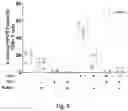 Fig. 14 - Combination Of A STING Agonist And A Complex Comprising A Cell Penetrating Peptide, A Cargo And A TLR Peptide Agonist