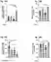 Fig. 15 - Combination Of A STING Agonist And A Complex Comprising A Cell Penetrating Peptide, A Cargo And A TLR Peptide Agonist