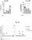 Fig. 17 - Combination Of A STING Agonist And A Complex Comprising A Cell Penetrating Peptide, A Cargo And A TLR Peptide Agonist