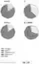 Fig. 19 - Combination Of A STING Agonist And A Complex Comprising A Cell Penetrating Peptide, A Cargo And A TLR Peptide Agonist