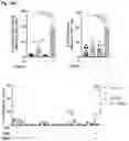 Fig. 34 - Combination Of A STING Agonist And A Complex Comprising A Cell Penetrating Peptide, A Cargo And A TLR Peptide Agonist