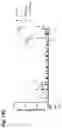 Fig. 37 - Combination Of A STING Agonist And A Complex Comprising A Cell Penetrating Peptide, A Cargo And A TLR Peptide Agonist