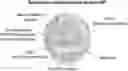 Fig. 01 - POLYMERIC NANOVACCINES AND USES THEREOF