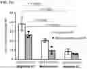 Fig. 05 - POLYMERIC NANOVACCINES AND USES THEREOF