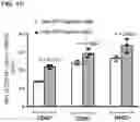 Fig. 06 - POLYMERIC NANOVACCINES AND USES THEREOF
