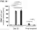 Fig. 22 - POLYMERIC NANOVACCINES AND USES THEREOF