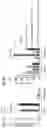 Fig. 23 - POLYMERIC NANOVACCINES AND USES THEREOF