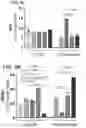 Fig. 24 - POLYMERIC NANOVACCINES AND USES THEREOF