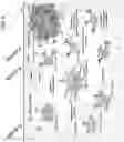 Fig. 26 - POLYMERIC NANOVACCINES AND USES THEREOF