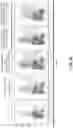 Fig. 29 - POLYMERIC NANOVACCINES AND USES THEREOF