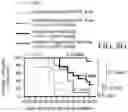 Fig. 32 - POLYMERIC NANOVACCINES AND USES THEREOF