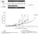 Fig. 33 - POLYMERIC NANOVACCINES AND USES THEREOF