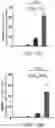 Fig. 35 - POLYMERIC NANOVACCINES AND USES THEREOF