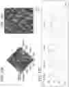 Fig. 40 - POLYMERIC NANOVACCINES AND USES THEREOF