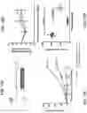 Fig. 41 - POLYMERIC NANOVACCINES AND USES THEREOF