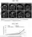 Fig. 46 - POLYMERIC NANOVACCINES AND USES THEREOF