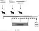Fig. 48 - POLYMERIC NANOVACCINES AND USES THEREOF