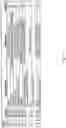 Fig. 02 - ANTIGEN SPECIFIC MULTI EPITOPE-BASED ANTI-INFECTIVE VACCINES