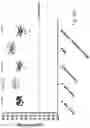 Fig. 03 - Vaccines targeting M. catharrhalis